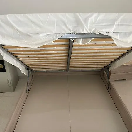 Lu Vilei Di Donateo Tecla